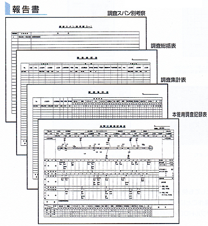 報告書