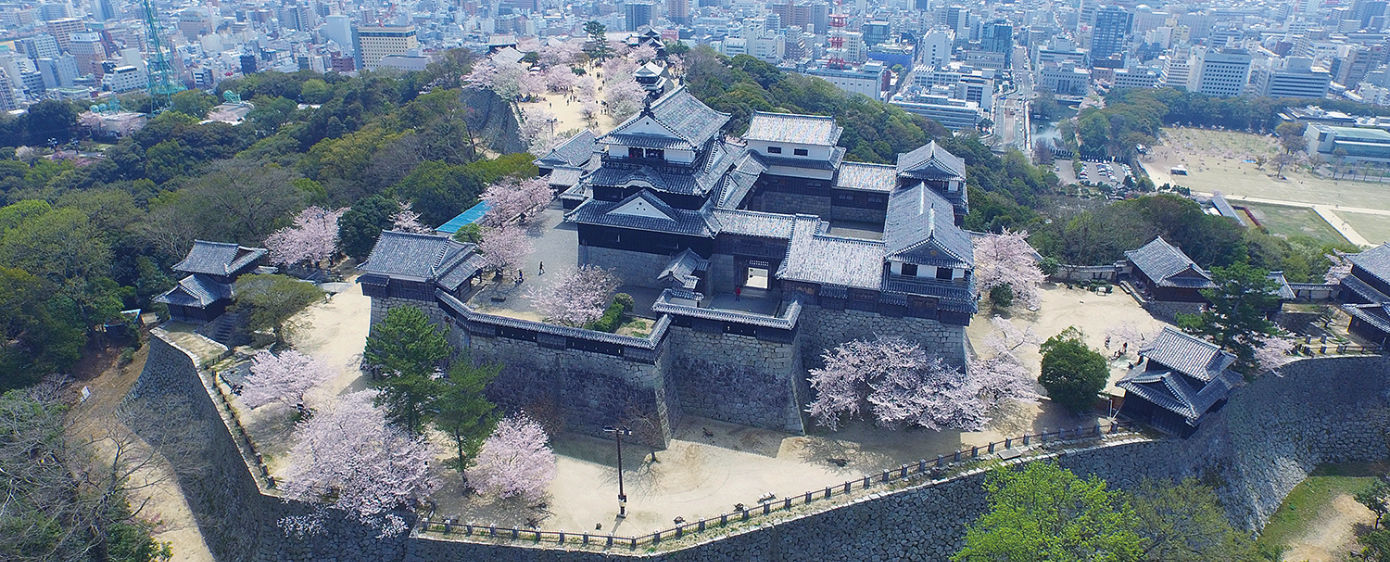 地域の未来を創りたい